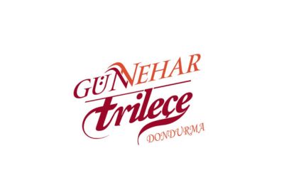 sosyal medya yönetimi
